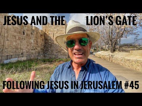 Following Jesus in Jerusalem #45: Jesus and the Lion’s Gate (John 10:7)