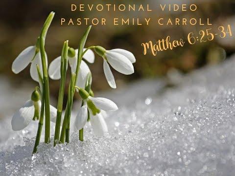 Matthew 6:25-34 devotional video with Pastor Emily