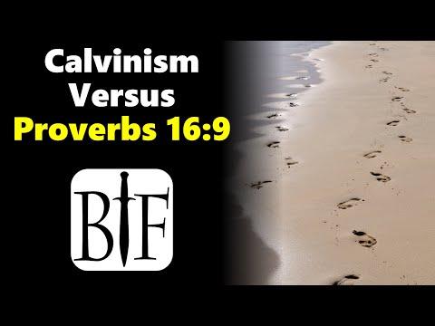 Calvinism versus Proverbs 16:9