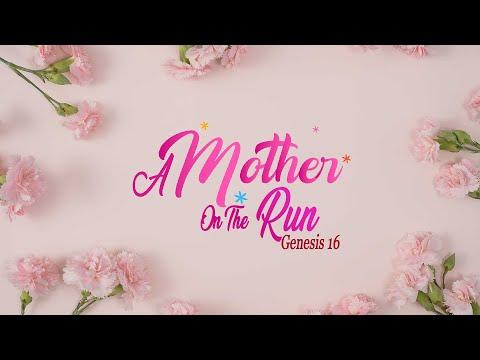 BUILDING CHAMPIONS: A Mother on the Run – Genesis 16:1-16