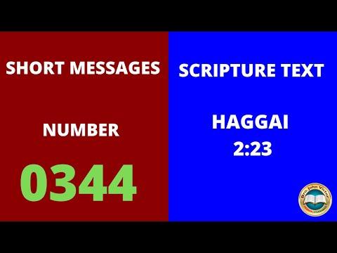 SHORT MESSAGE (0344) ON HAGGAI 2:23