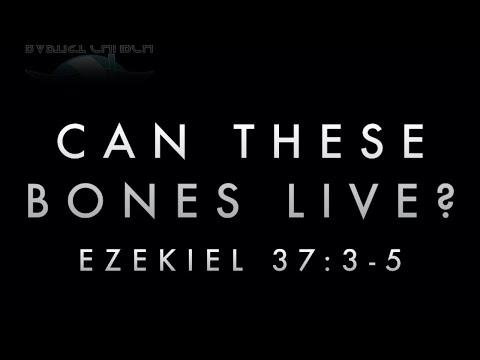 “Can These Bones Live?” (Ezekiel 37: 3-5)