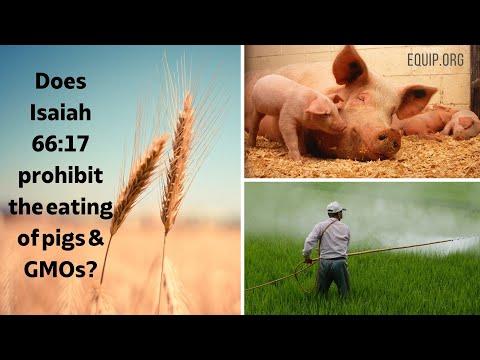 Does Isaiah 66:17 Prohibit the Eating of Pigs and GMOs?