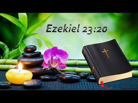 Explaining Ezekiel 23:20