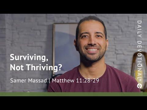 Surviving, Not Thriving? | Matthew 11:28–29 | Our Daily Bread Video Devotional