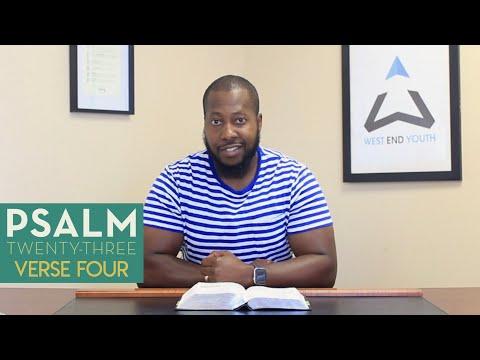 Psalm 23:4 - Valley of The Shadow of Death // Bible Study Devotional series with Pastor Steph
