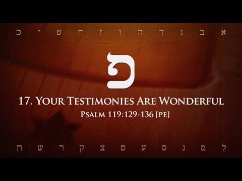 17. Pe - Your Testimonies Are Wonderful (Psalm 119:129-136)