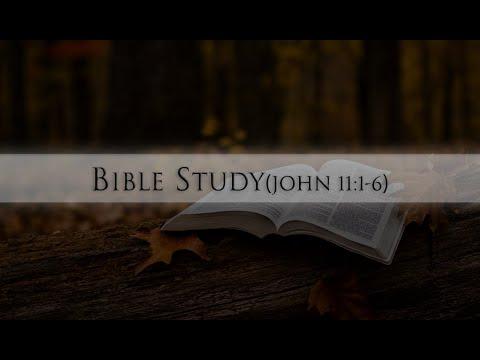 Bible Study(John 11:1-6)