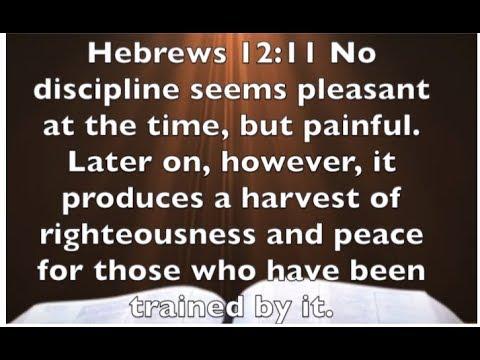 Hebrews 12:11 -  No Discipline Seems Pleasant At The Time