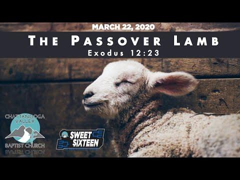 The Passover Lamb (Exodus 12:23)
