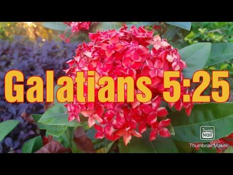 Galatians 5:25