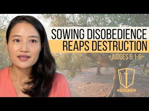 Sowing Disobedience Reaps Destruction (Judges 6:1-6) | Book of Judges Bible Study