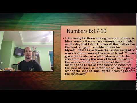 Numbers 8:17-19