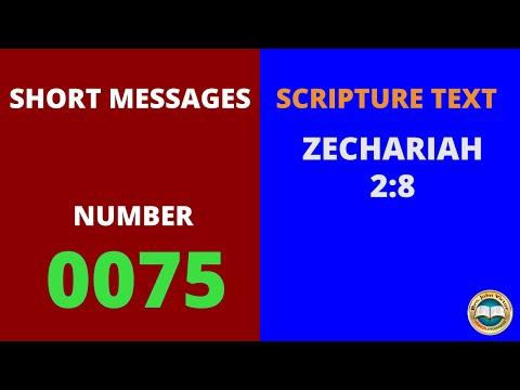 SHORT MESSAGE (0075) ON ZECHARIAH 2:8