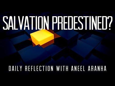 Daily Reflection With Aneel Aranha | John 6:37-40 | November 2, 2018