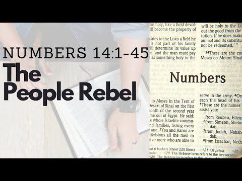 NUMBERS 14:1-45 THE PEOPLE REBEL (S14 E14)