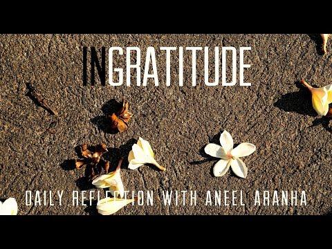 Daily Reflection With Aneel Aranha | Luke 17:11-19 | November 14, 2018