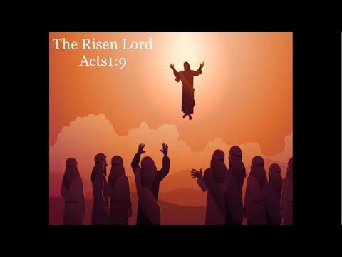 The Risen Lord l The beginning of the Church l Acts 1:9