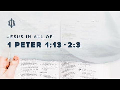 WAITING IN EXILE | Bible Study | 1 Peter 1:13-2:3