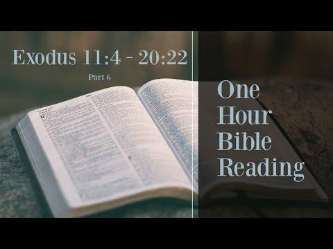 Read The Entire Bible (Part 6) - 1 Hour Bible Reading (Exodus 11:4 - 20:22)