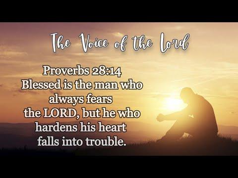 Proverbs 28:14 The Voice of the Lord  May 13, 2022 by Pastor Teck Uy