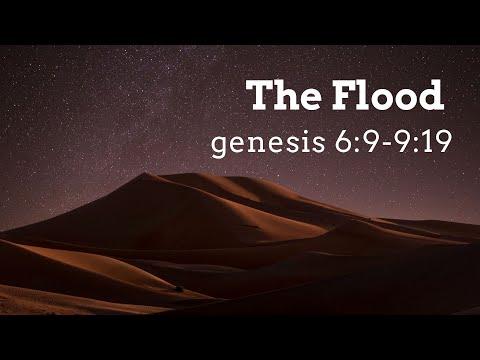 Genesis 6:9-9:19 "The Flood" - Part 3 - Pastor Matthew Johnson