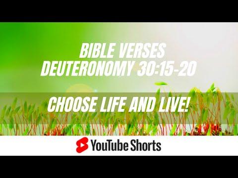Choose Life! | Deuteronomy 30:15-20 | Bible Verses