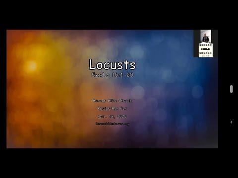 Locust - Exodus 10:1-20 - Pastor Ron Fox - 10-18-20