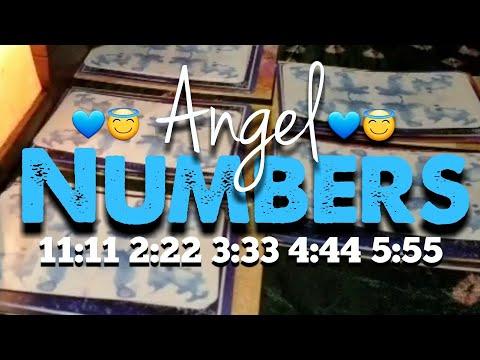 Angel Numbers 11:1 2:22 3:33 4:44 5:55 | Pick A Card Tarot | Timeless | ????????????