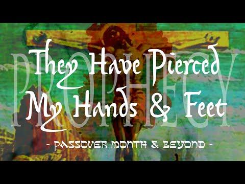 Daily Scripture - Psalms 22:16‭-‬18 – Jesus Prophecy - They Have Pierced My Hands and Feet