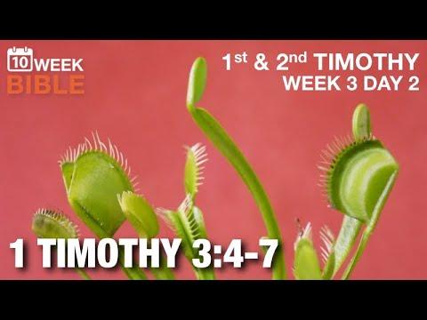 The Devil’s Trap | 1 Timothy 3:4-7  | Week 3 Day 2 Study of 1 Timothy