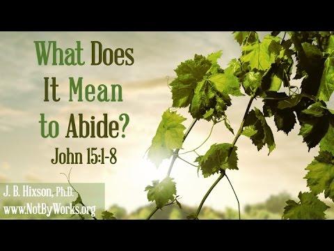 What Does It Mean to Abide (John 15:1-8)