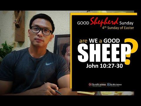 4th Sunday of Easter/ Good Shepherd Sunday/ John 10:27-30