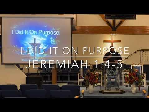 I Did It On Purpose - Jeremiah 1:4-5