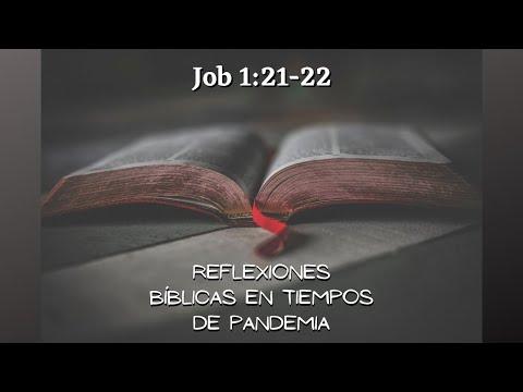 Job 1:21-22 - Reflexiones Bíblicas en tiempos de Pandemia
