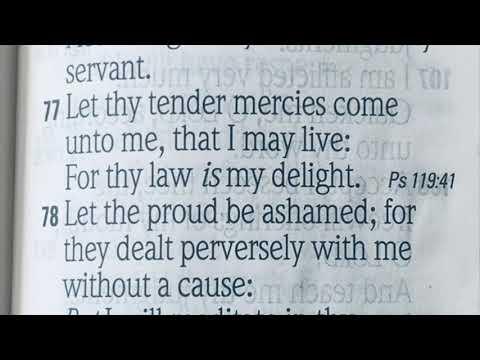 PSALM 119:76-100   (Part 4)