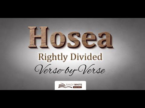 Session 3 | Hosea 2:5-13 | God's Poetic Condemnation of Israel
