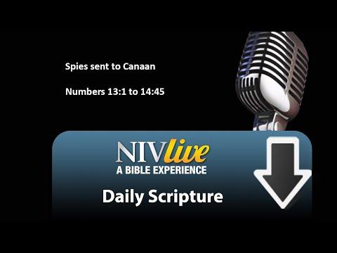 39 Spies sent to Canaan Numbers 13:1-33