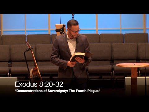 “Demonstrations of Sovereignty: The Fourth Plague" - Exodus 8:20-32 (1.19.22) - Dr. Jordan N. Rogers