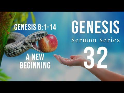 Genesis Sermon Series 32.  A New  Beginning. Genesis 8:1-14. Dr. Andy Woods