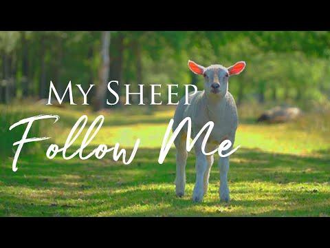 Daily Scripture - John 10:27-30 - Jesus said: My Sheep Follow Me...