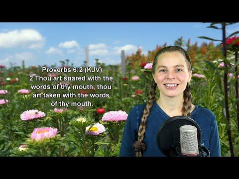 Proverbs 6:2 KJV - The Mouth - Scripture Songs