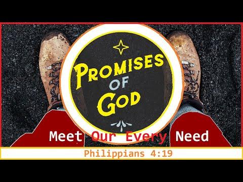 The Promise to Meet Our Every Need | Philippians 4:19 | Words of Grace