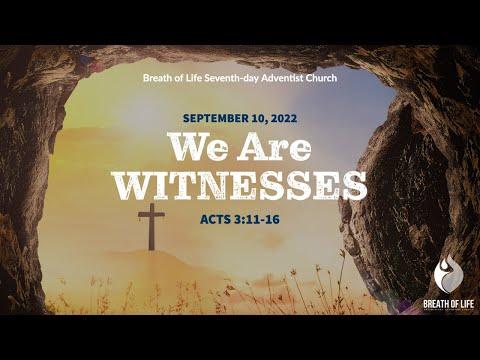 We Are Witnesses I Acts 3:11-16 I Dr. Colby Matlock