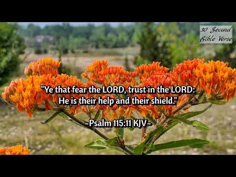 Psalm 115:11 kjv