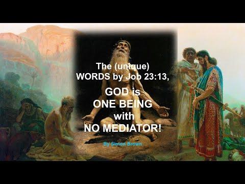 The (unique) WORDS by Job 23:13, GOD is ONE BEING with NO MEDIATOR!