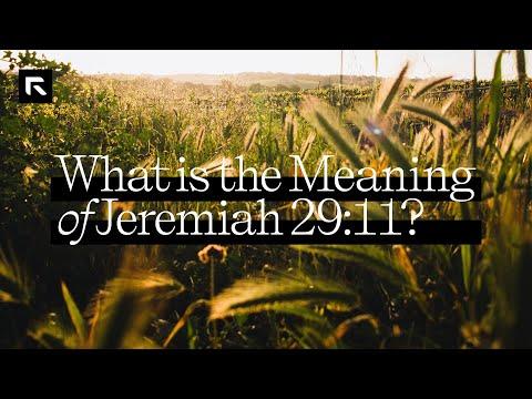 David Platt Explains the Meaning of Jeremiah 29:11