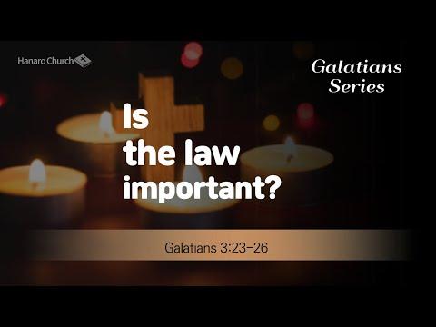 'Is the law important?' Galatians 3:23-26, 영어설교, 선교영어