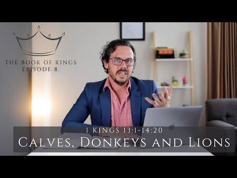 Calves, Donkeys and Lions | 1 Kings 13:1 - 14:20