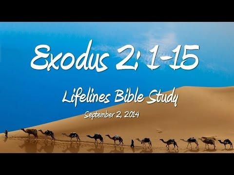 Exodus 2:1-15 Bible Study